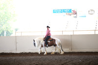 Class 220  Gypsy  Western Dressage Suitability Under Saddle WJ Open