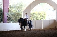 MLMH_2018_6777