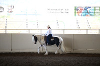 MLMH_2018_6778
