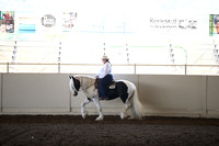 MLMH_2018_6779