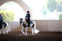 MLMH_2018_6785