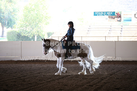 MLMH_2018_6807