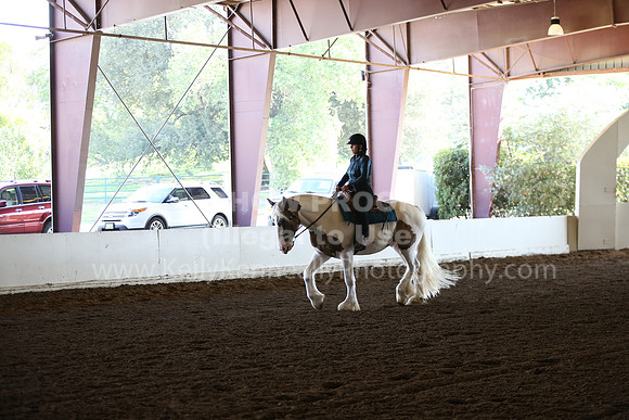 MLMH_2018_6808