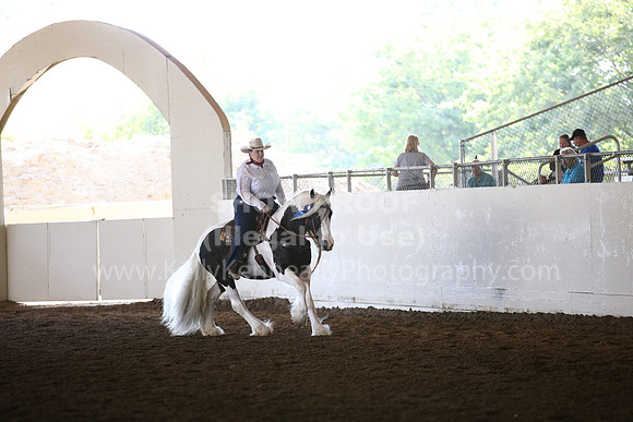 MLMH_2018_6821