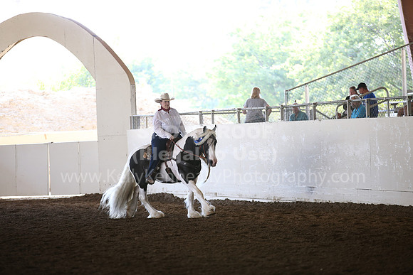 MLMH_2018_6822