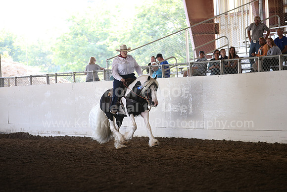 MLMH_2018_6823
