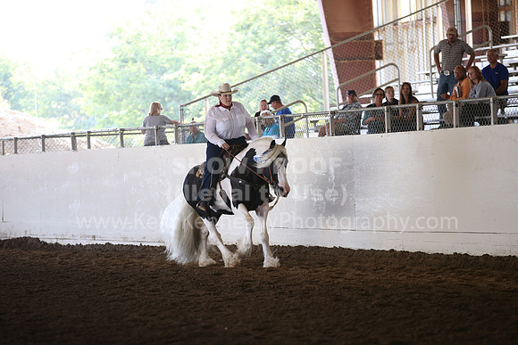 MLMH_2018_6824