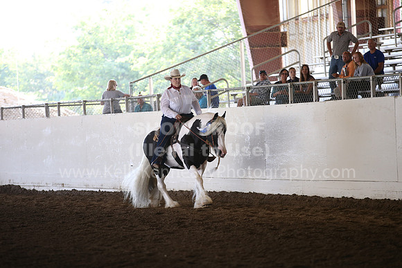 MLMH_2018_6825