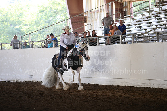 MLMH_2018_6826