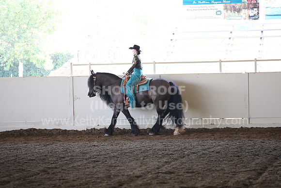 MLMH_2018_6928