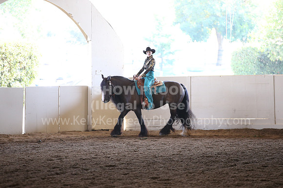 MLMH_2018_6929