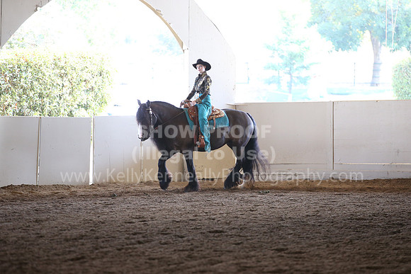 MLMH_2018_6930