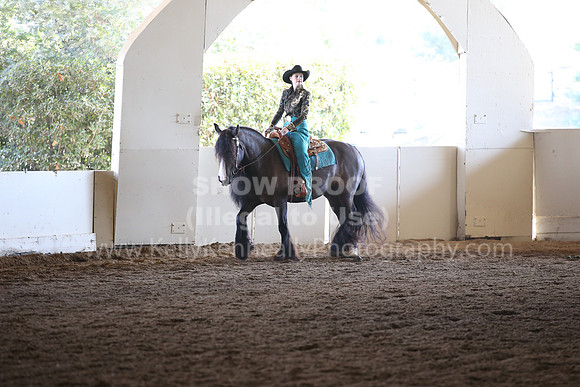 MLMH_2018_6931