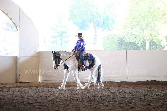 MLMH_2018_6938