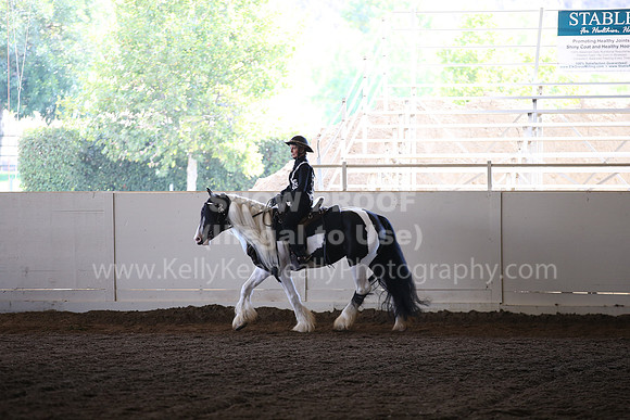 MLMH_2018_6947