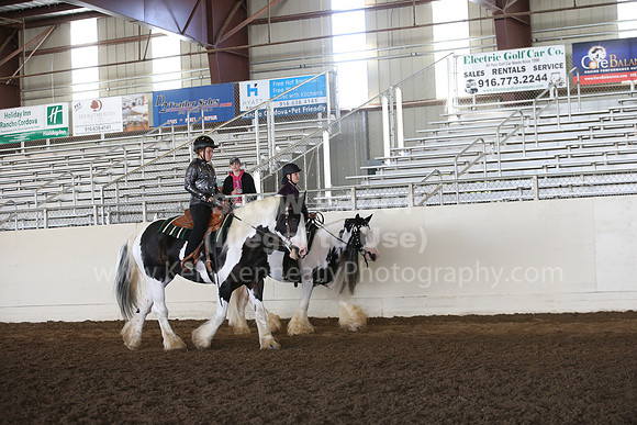 MLMH_2018_6990