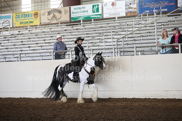 MLMH_2018_6996