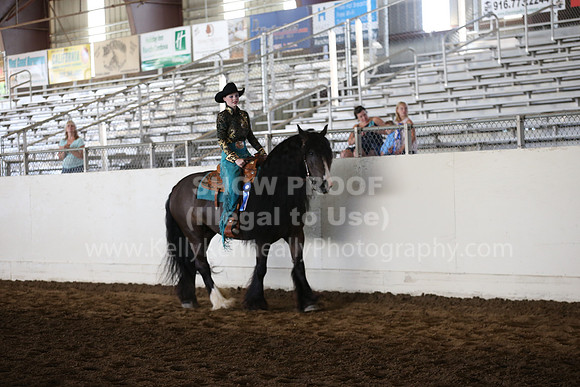 MLMH_2018_7013