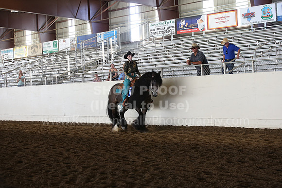 MLMH_2018_7014