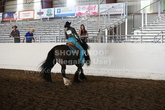 MLMH_2018_7017