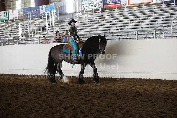 MLMH_2018_7020