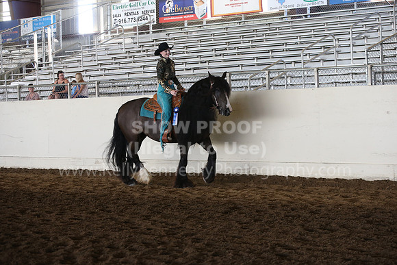 MLMH_2018_7021