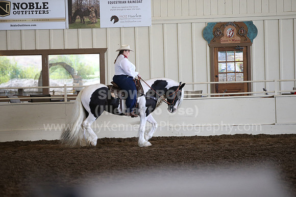 MLMH_2018_7161