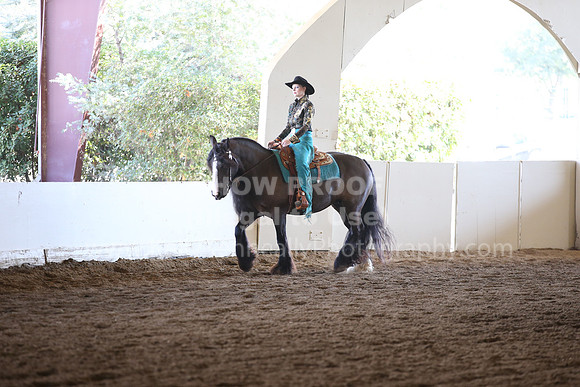 MLMH_2018_7269