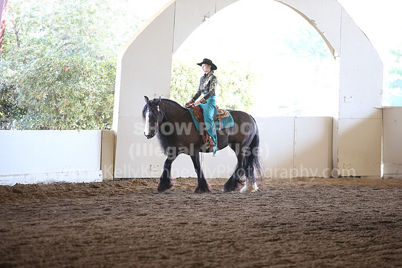 MLMH_2018_7268