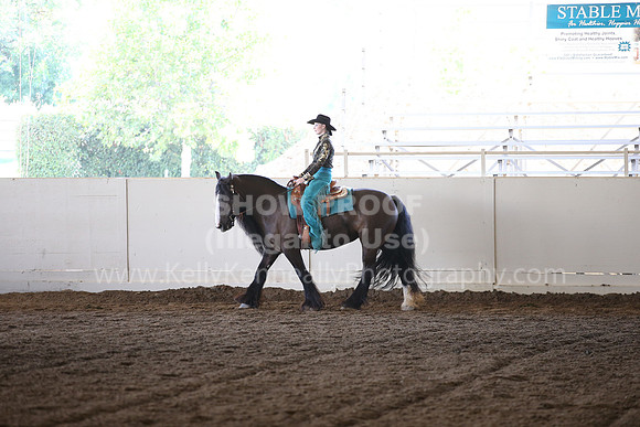 MLMH_2018_7267