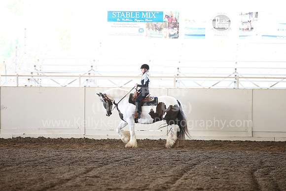 MLMH_2018_7271
