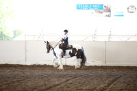 MLMH_2018_7272