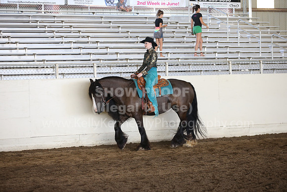 MLMH_2018_7274
