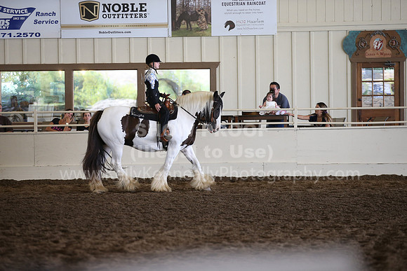 MLMH_2018_7282