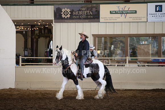 MLMH_2018_7340
