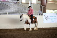 Class 233 Gypsy Western Pleasure WJ Open