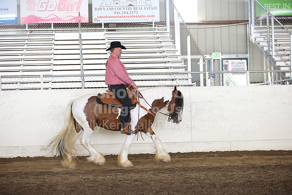 MLMH_2018_7419