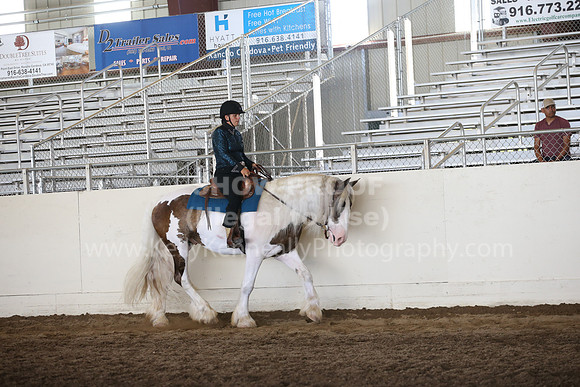 MLMH_2018_7428
