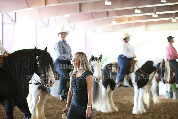 MLMH_2018_7436