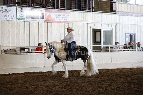 MLMH_2018_7453