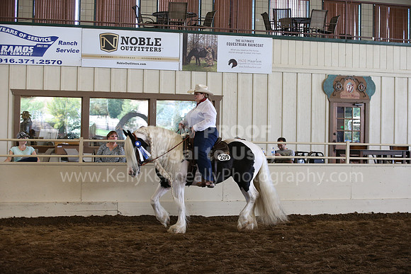 MLMH_2018_7458