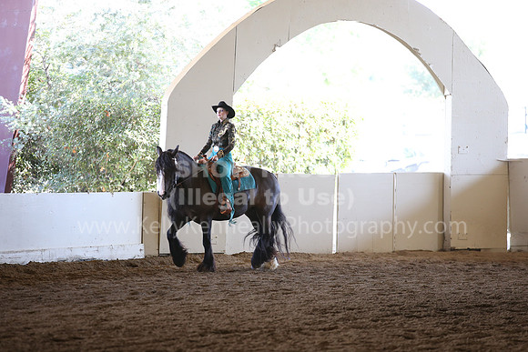 MLMH_2018_7464