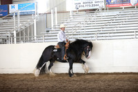 MLMH_2018_7558