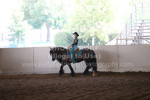 MLMH_2018_7653
