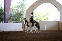 Class 242 Gypsy Western Pleasure WJL Jr/Am