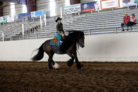MLMH_2018_7662