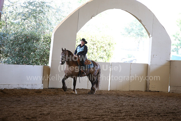 MLMH_2018_7761