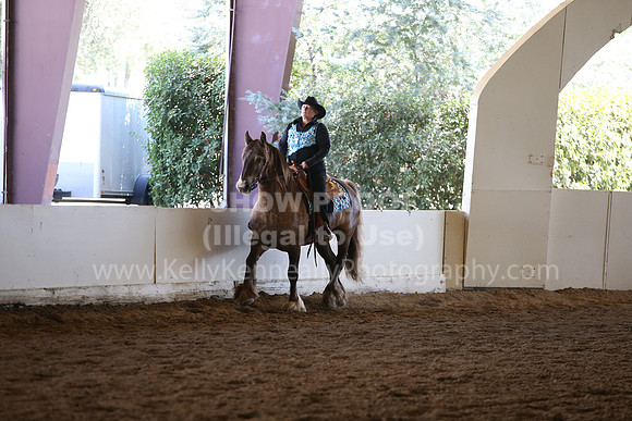 MLMH_2018_7762