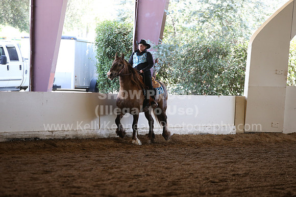MLMH_2018_7763