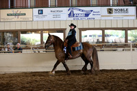 MLMH_2018_7770